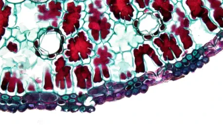 Stem Cells Unlock Key to Smell Restoration through Regeneration
