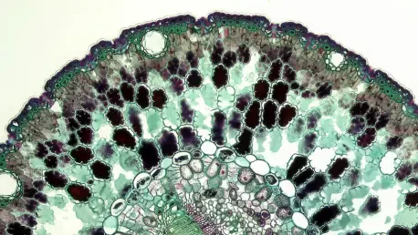 Vascularized Liver Organoids Revolutionize Regenerative Medicine