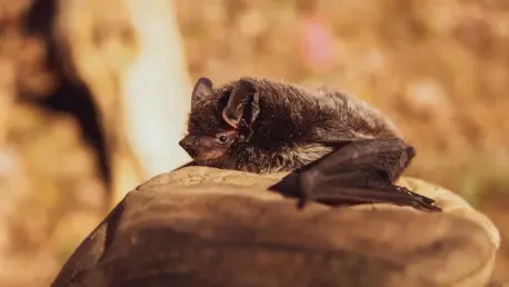 Are Bat Viruses Just a Mutation Away From a Human Jump?