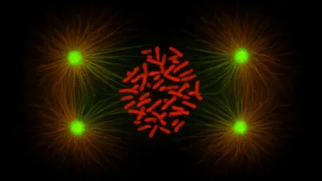Rewriting Cell Division: CENP-E’s New Regulatory Role