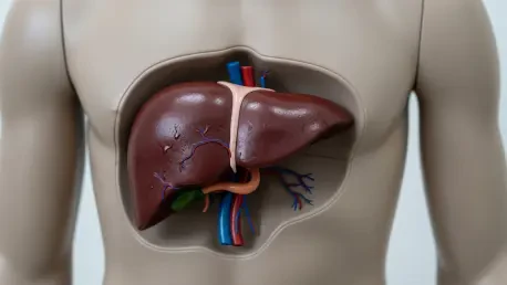 Primary Liver Cancer Management – Review